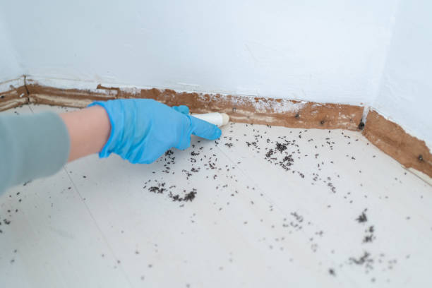 Best Commercial Pest Control Services  in Fort Valley, AZ